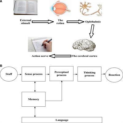 Cognitive Structure of College Students and Teaching Strategies of Ideological and Political Education Under Educational Psychology